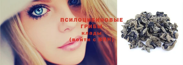 бошки Арсеньев