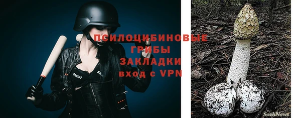 jwh Аркадак
