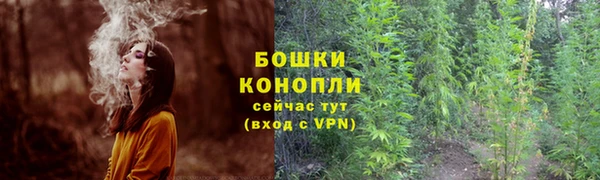 jwh Аркадак